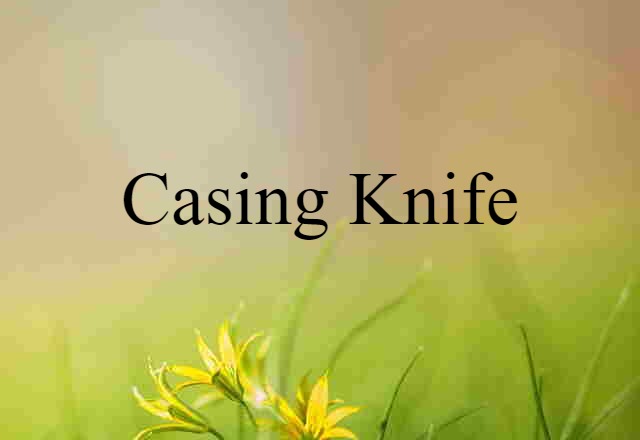 casing knife