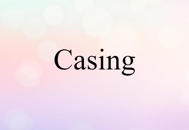 Casing (noun) Definition, Meaning & Examples