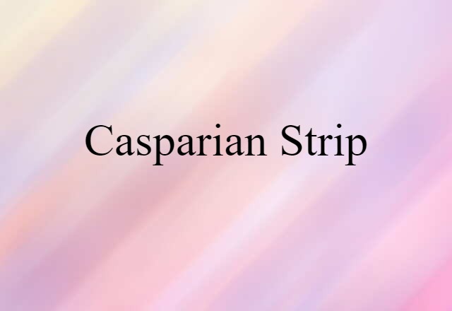 Casparian strip