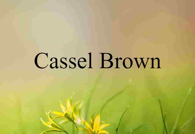 Cassel Brown (noun) Definition, Meaning & Examples