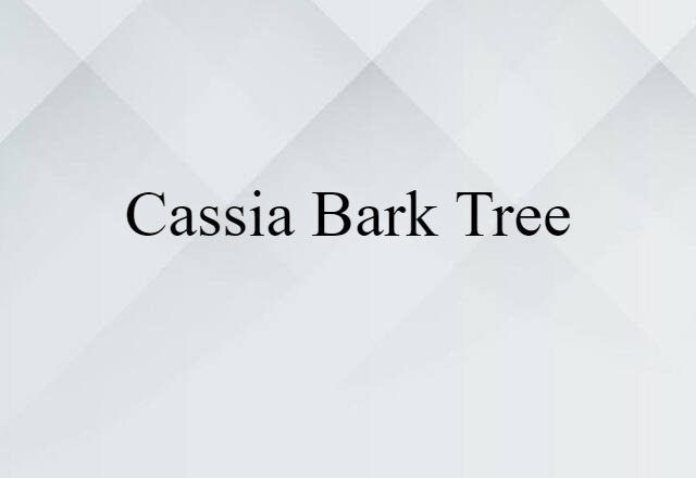 Cassia-bark Tree (noun) Definition, Meaning & Examples