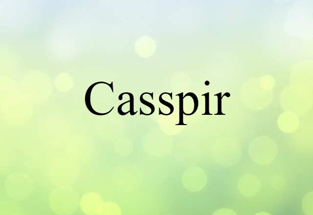 Casspir (noun) Definition, Meaning & Examples