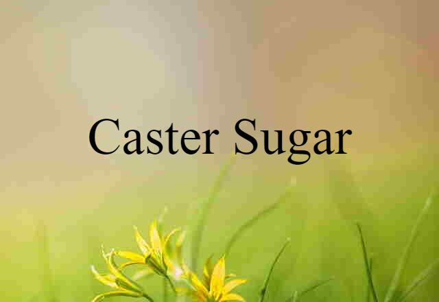 Caster Sugar (noun) Definition, Meaning & Examples