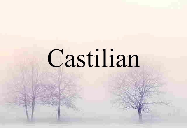 Castilian (noun) Definition, Meaning & Examples