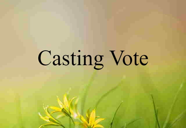 Casting Vote (noun) Definition, Meaning & Examples