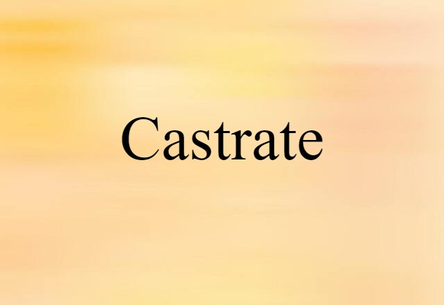 Castrate (noun) Definition, Meaning & Examples