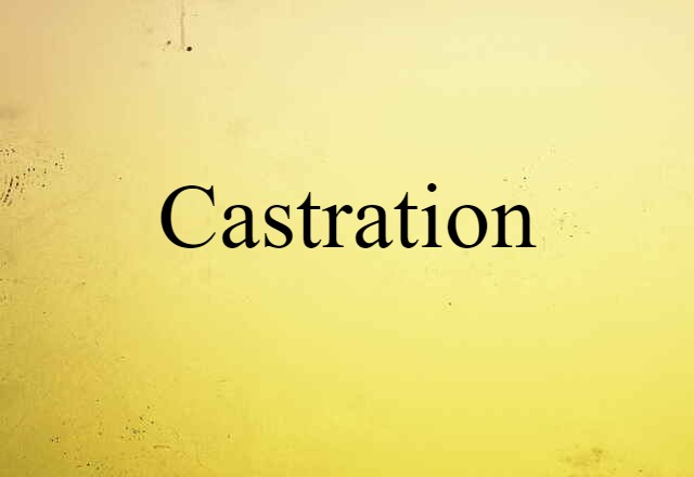 Castration (noun) Definition, Meaning & Examples