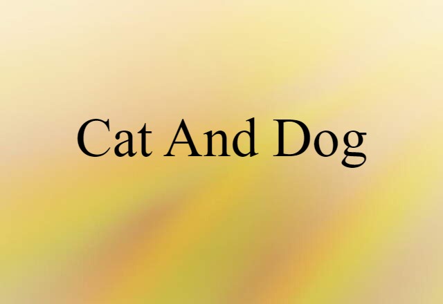 Cat-and-dog (noun) Definition, Meaning & Examples