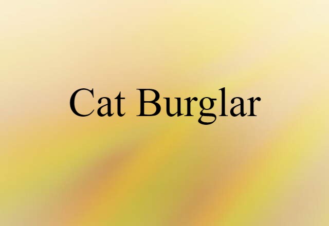 cat burglar