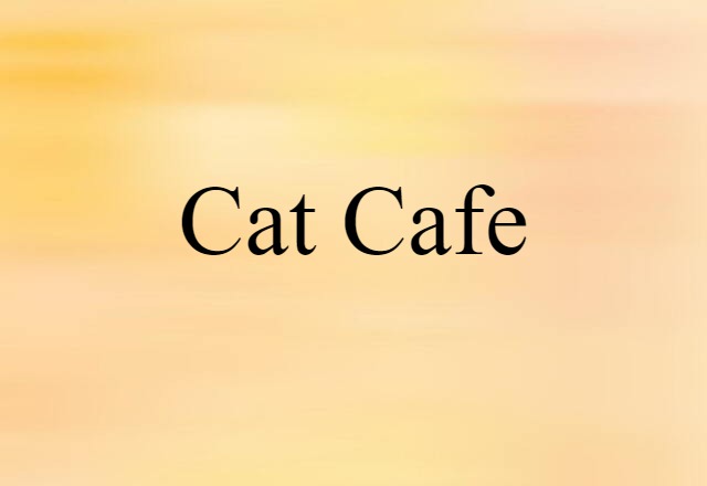 cat cafe