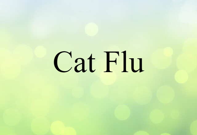 cat flu