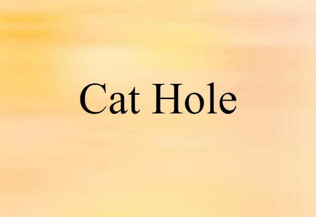 Cat Hole (noun) Definition, Meaning & Examples