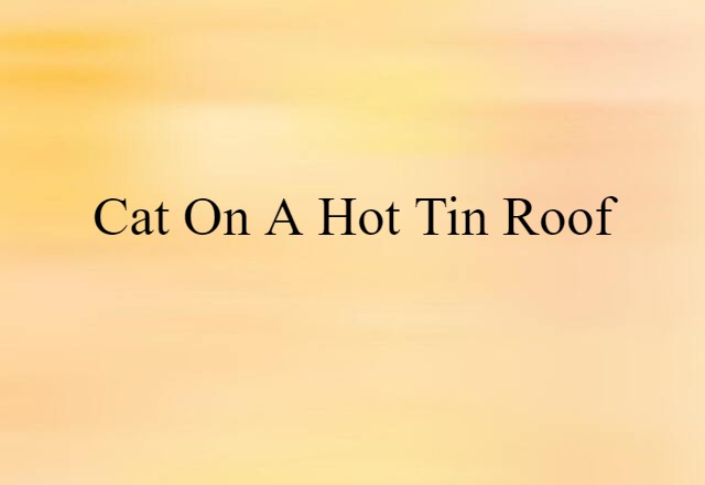 Cat on a Hot Tin Roof