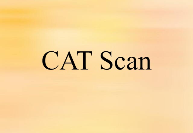 CAT Scan (noun) Definition, Meaning & Examples