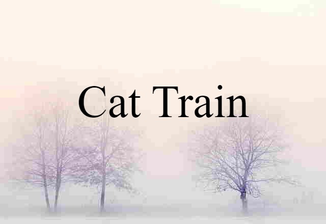 Cat Train (noun) Definition, Meaning & Examples