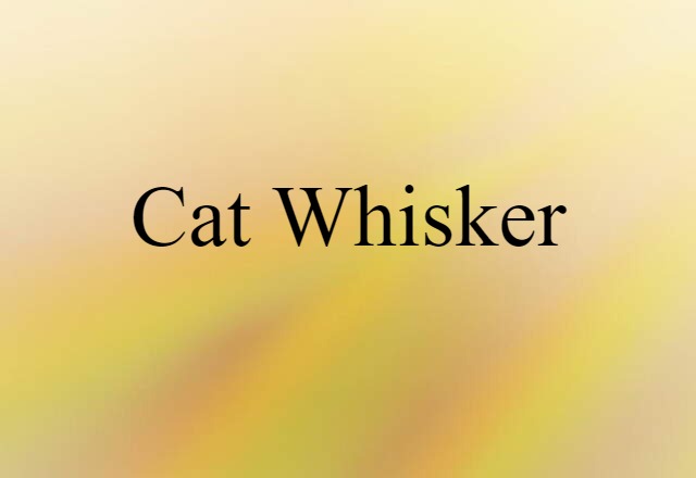 cat whisker