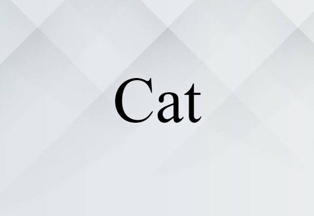 Cat (noun) Definition, Meaning & Examples