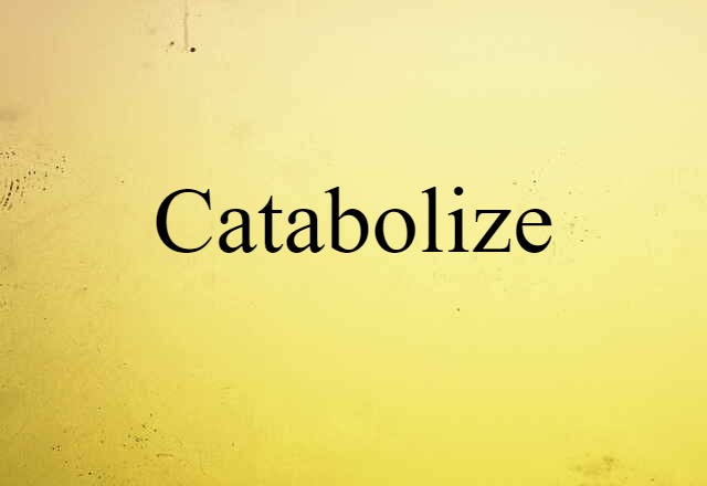 Catabolize (noun) Definition, Meaning & Examples