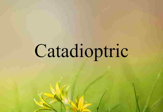 catadioptric