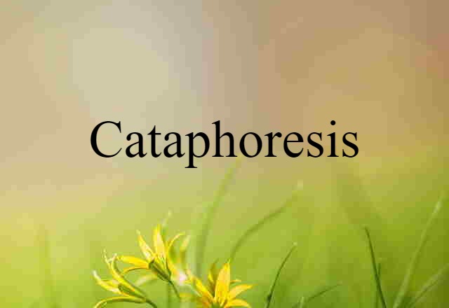 cataphoresis