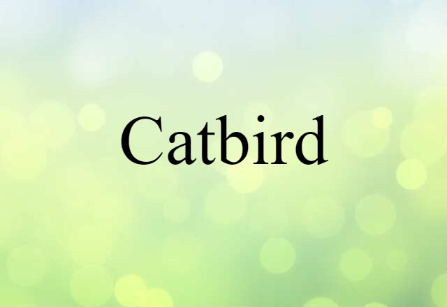 catbird