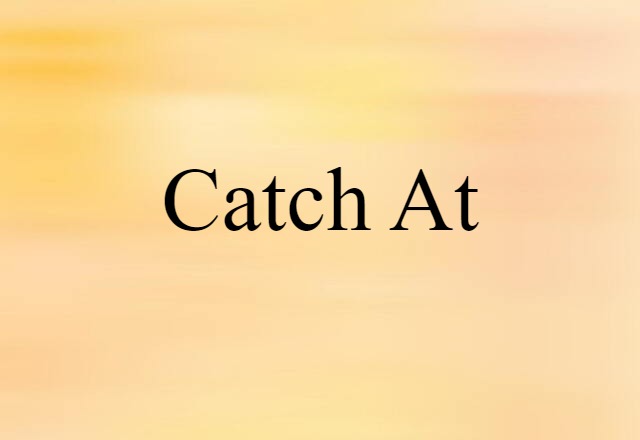 Catch At (noun) Definition, Meaning & Examples