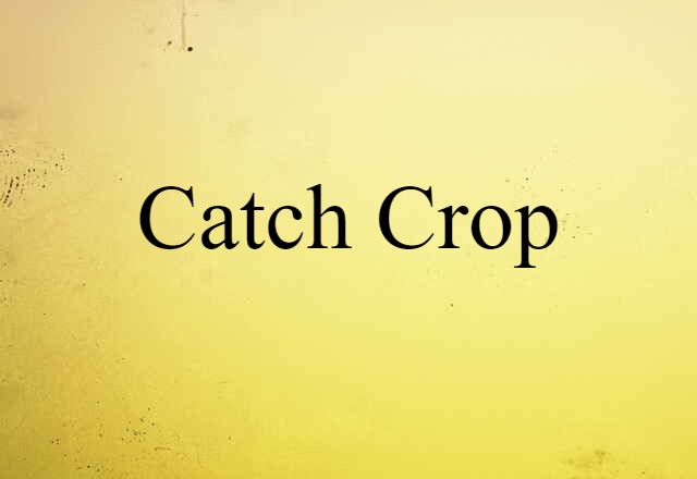 Catch Crop (noun) Definition, Meaning & Examples