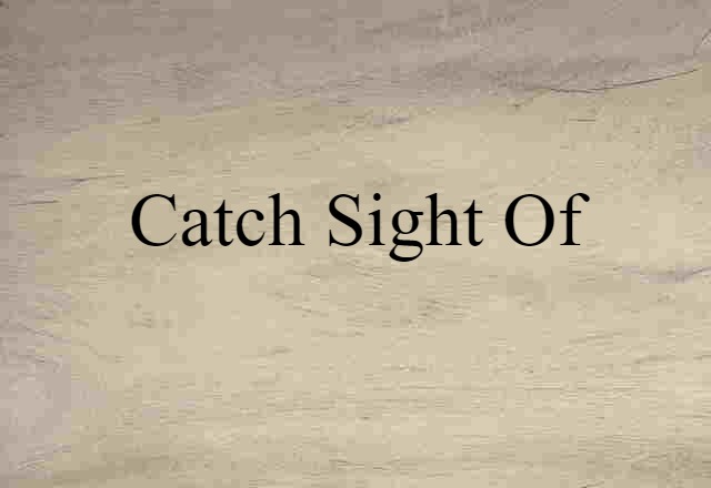 Catch Sight Of (noun) Definition, Meaning & Examples