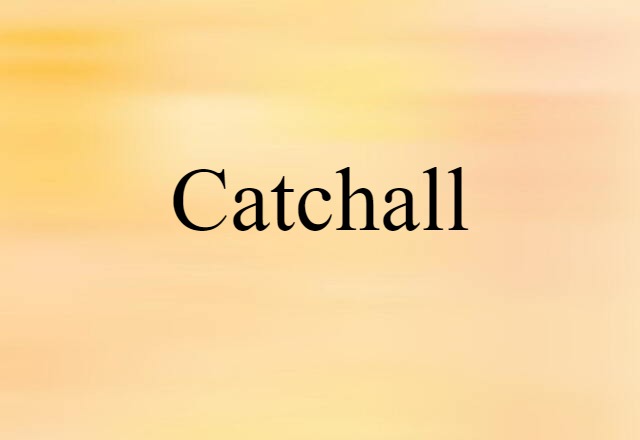 Catchall (noun) Definition, Meaning & Examples