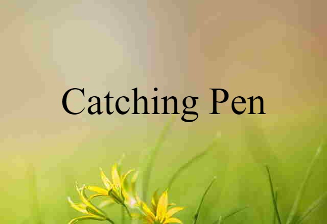 catching pen