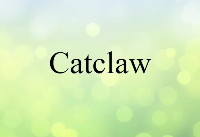 Catclaw (noun) Definition, Meaning & Examples