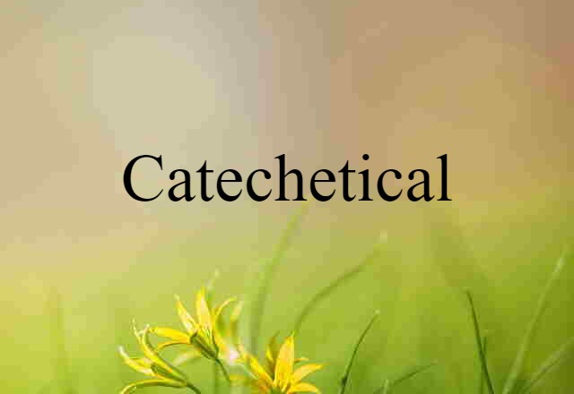 Catechetical (noun) Definition, Meaning & Examples