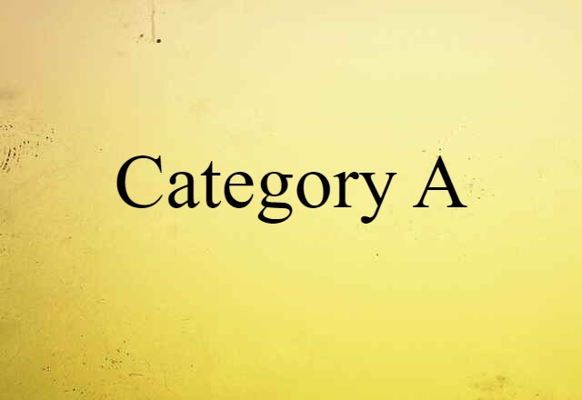 Category A (noun) Definition, Meaning & Examples