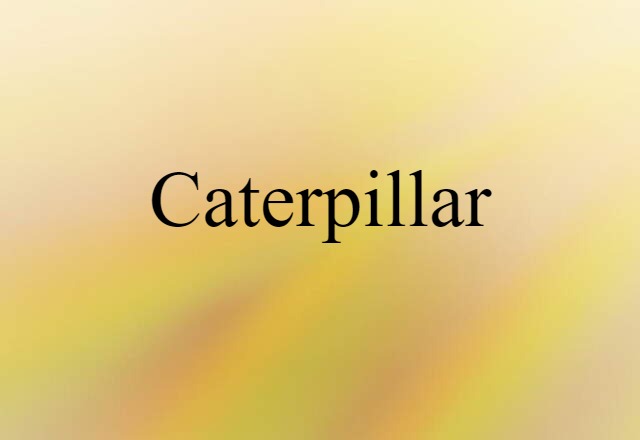 Caterpillar (noun) Definition, Meaning & Examples