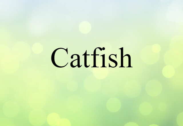 Catfish (noun) Definition, Meaning & Examples