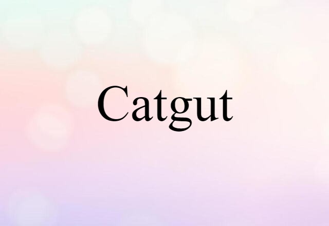 Catgut (noun) Definition, Meaning & Examples