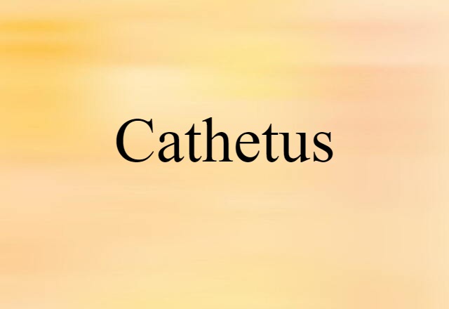 Cathetus (noun) Definition, Meaning & Examples