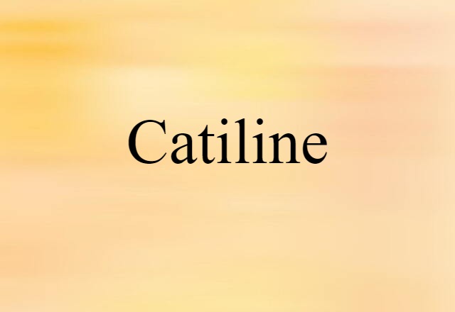 Catiline (noun) Definition, Meaning & Examples