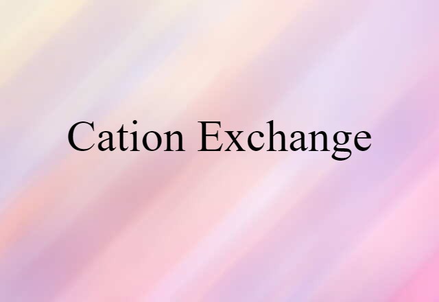 Cation Exchange (noun) Definition, Meaning & Examples