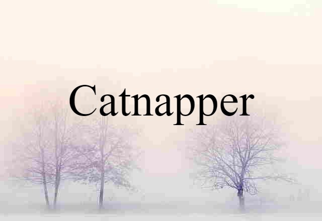 Catnapper (noun) Definition, Meaning & Examples