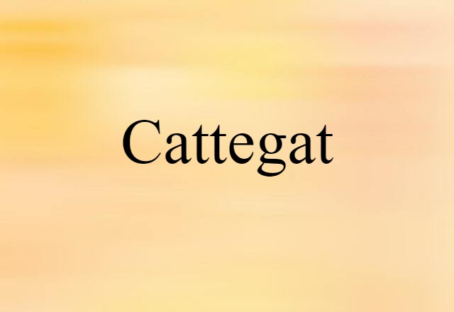 Cattegat (noun) Definition, Meaning & Examples