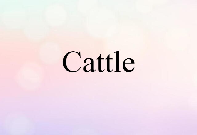 cattle