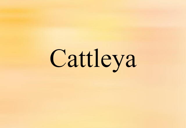 Cattleya (noun) Definition, Meaning & Examples