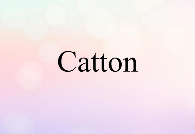 Catton (noun) Definition, Meaning & Examples