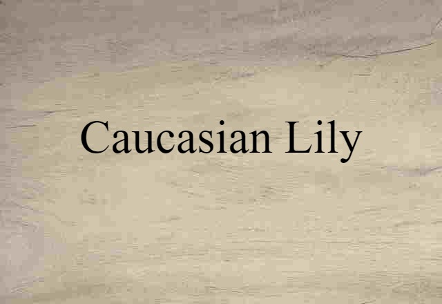 Caucasian lily