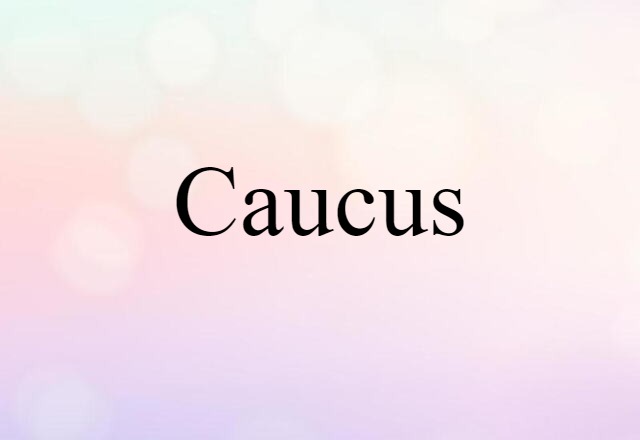 Caucus (noun) Definition, Meaning & Examples