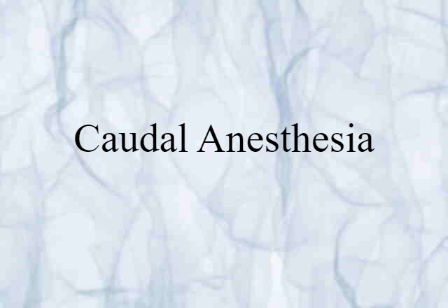 caudal anesthesia