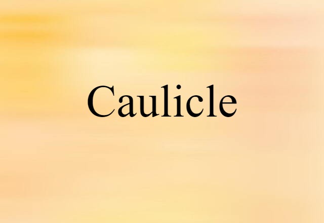 caulicle