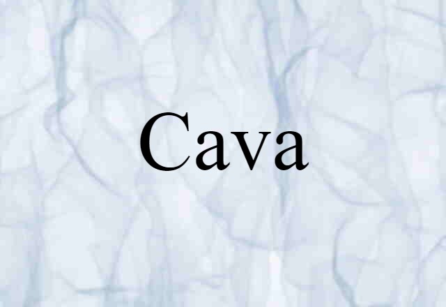 Cava (noun) Definition, Meaning & Examples