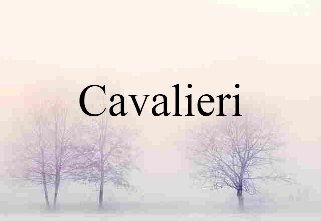 Cavalieri (noun) Definition, Meaning & Examples